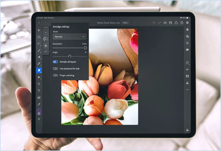 Quelle est la meilleure application photoshop pour ipad pro?