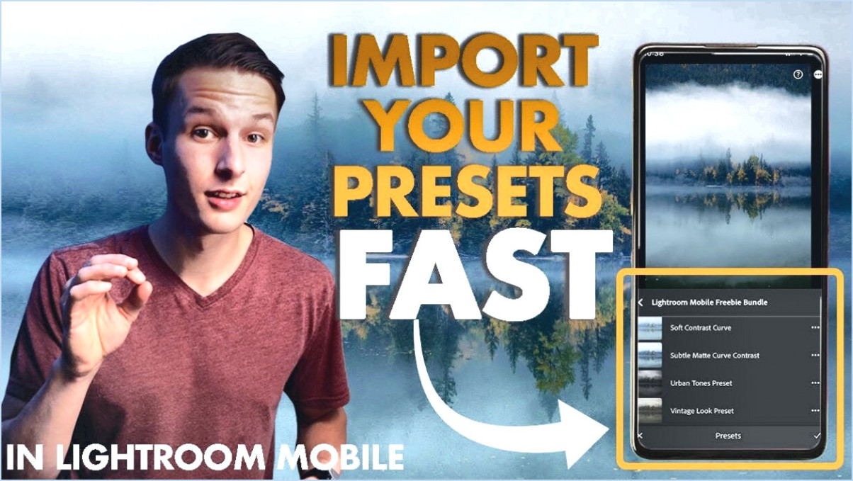 Comment ouvrir les presets lightroom?
