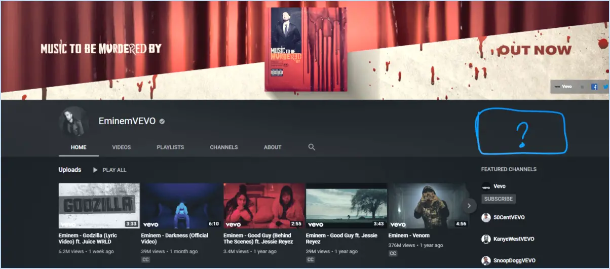 Comment supprimer un compte vevo?