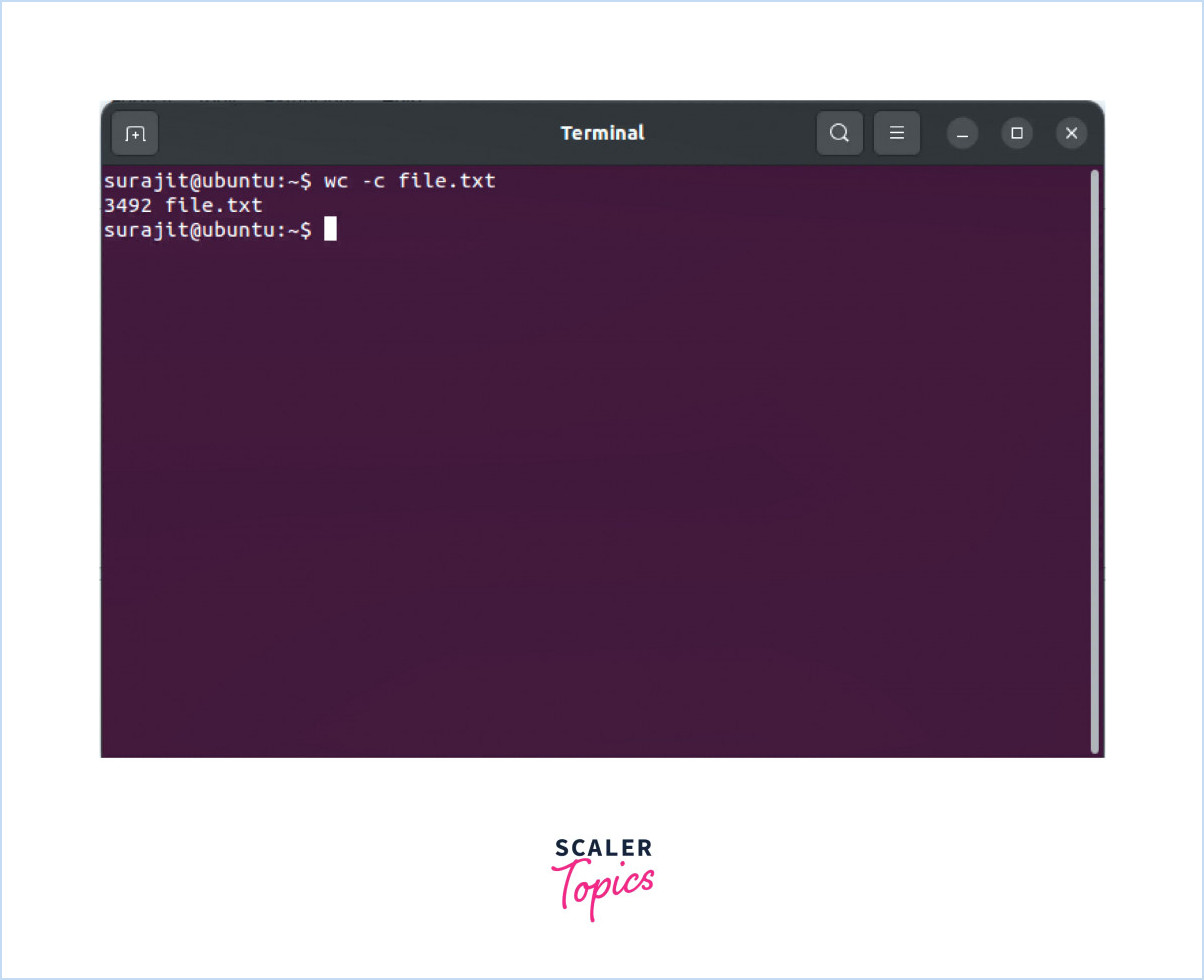 Comment utiliser la commande wc sous linux?
