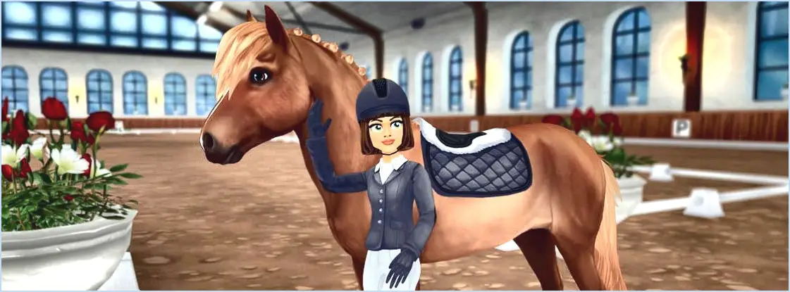 Puis-je changer mon nom sur Star Stable?